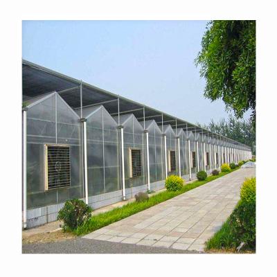 China Cooling / Multi-span Commercial Agricultural Venlo PC Sheet Greenhouse Irrigation / Shading System For Vegetables for sale