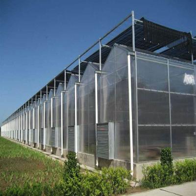 China Stable Structure Factory Price PC Sheet Multi Span Greenhouse Polycarbonate Sheet Greenhouse For Agriculture Planting for sale