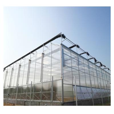 China Stable Structure Polycarbonate Sheet Greenhouse Agriculture Venlo Type For Vegetables With Hydroponic System for sale