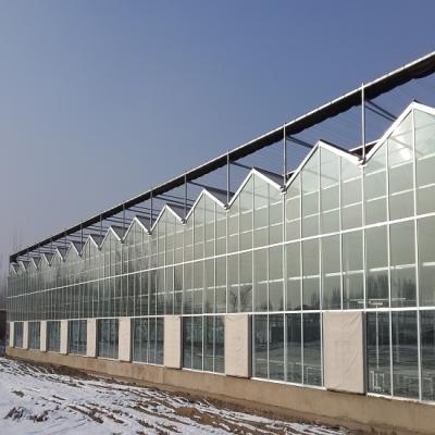 China Multi-span stable venlo structure glass greenhouse for hydroponic growing system for sale