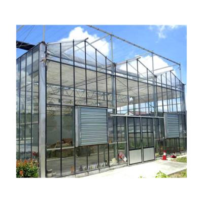 China Stable Frame Greenhouse Greenhouse Structure Greenhouse Structure Turnkey Production For Vegetables for sale