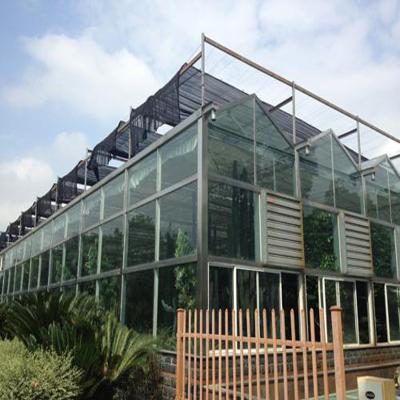 China Venlo economic type glass greenhouse/multispan greenhouse for vegetable/fruits for sale