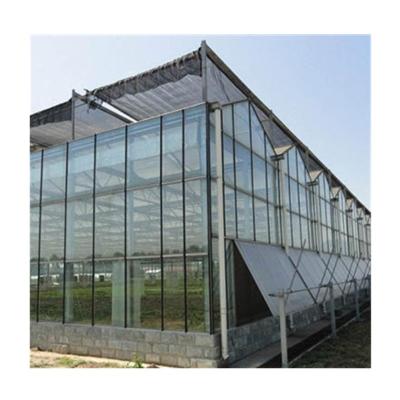 China Large Size Agricultural Commercial Multi Type Stable Structure SpanVenlo Glass Greenhouse for sale