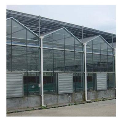 China Agricultural Commercial Multi Span Venlo Type Stable Structure Glass Greenhouse for sale