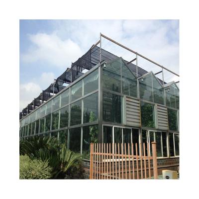 China Modern Multi Span Glass Agriculture Venlo Hydroponic Glass Greenhouse For Vegetables for sale