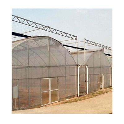 China Large Size Single-Span Tunnel Vegetable Planting Agricultural Commercial Greenhouse for sale