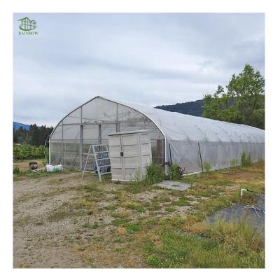 China Vegetable Planting Low Cost And High Qualty Single Type Film Span Arch Greenhouse for sale