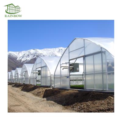 China Hot sale singlespan vegetable planting film tunnel greenhouse for vegetables and flowers for sale