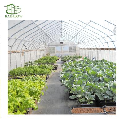 China Vegetable Planting Factory Outlet And Film Span Arch Greenhouse High Quality Single Type for sale