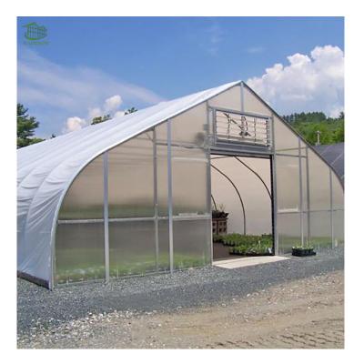 China Hot Sale Vegetable Span Film Greenhouse Single Span Planting Type With Hydroponics for sale