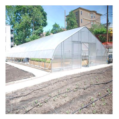 China Vegetable Span Planting Film Greenhouse Single Type For Agriculture for sale