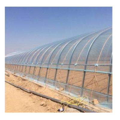 China Cooling / Commercial Irrigation / Shading System Small Single-span PE Film Greenhouse Used For Sale for sale