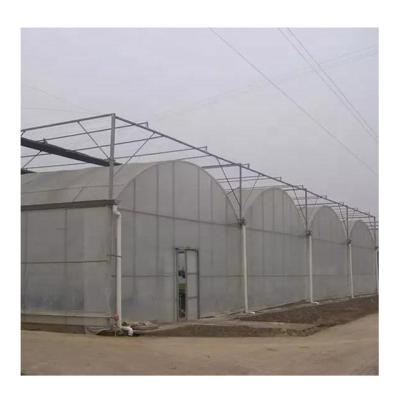 China Agricultural Smart Greenhouse Structure Multi-span Film Hydroponics Greenhouse For Vegetable for sale