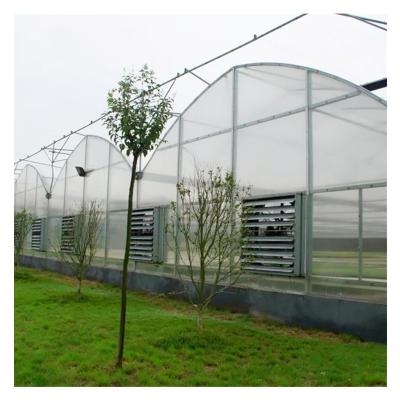 China Stable Structure Easily Assembled Commercial Multi-span Tunnel Plastic Film Greenhouse For Sale for sale