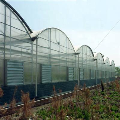 China Fruits Vegetable Multi-span Flowers Film Arch Type Greenhouse With Cooling Pad For Planting Vegetables for sale