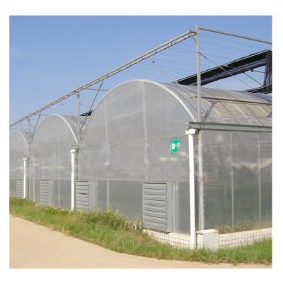 China Agricultural Type PO Film System Multi-span Arch Type Greenhouse Cooling / Irrigation / Shading for sale