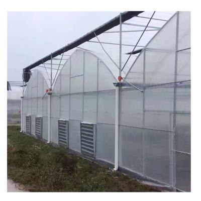 China Cooling / Irrigation / Shading System Multi-span Large Arch Plastic Film Tomato Greenhouse for sale