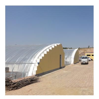 China Stable Structure China Special Greenhouses In-Solar Agriculture For Cold Countries for sale