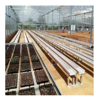 China Polycarbonate Polycarbonate Tunnel Stable Structure Multi Span High Agricultural Greenhouses for sale