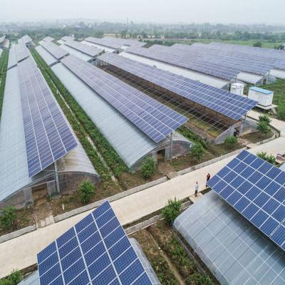 China Commercial Environmental Photovoltaic Panels Glass Greenhouse For Vegetable Planting And Cultivation Agriculture for sale