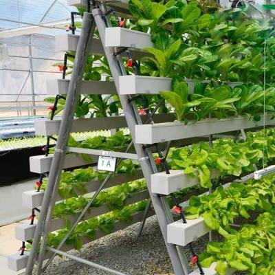 China PVC NFT Hydroponics Growing System For Greenhouse And Plant Plant for sale