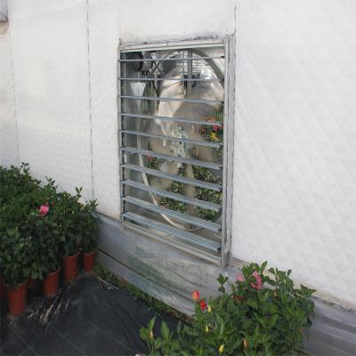 China Chinese Stainless Steel Fan For Greenhouse Commercial Of Greenhouses Manufacturing for sale