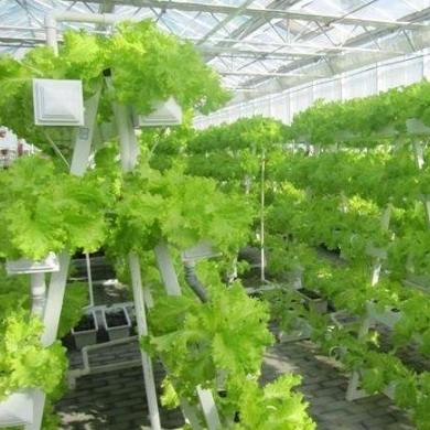 China PVC Pipes Hydroponics Three Dimensional View For Leafy Vegetables for sale