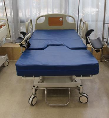 China Electric Manual Hospital Caregiver Ward Bed Side With Toilet For Elder for sale