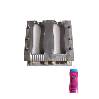 China CE 3D Drawing Aluminum HDPE PP Shampoo Bottle Packaging High Quality Plastic Blow Mold Factory Best Price for sale