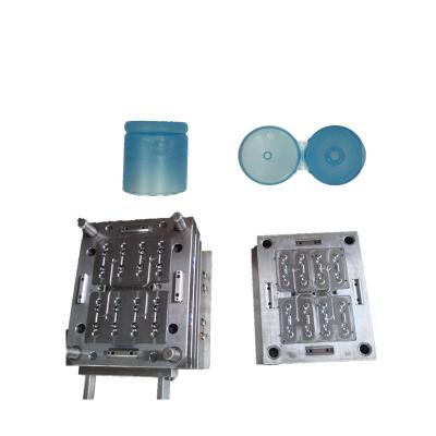 China Injection Capsule Steel Mold Aluminum Plastic Mold for sale