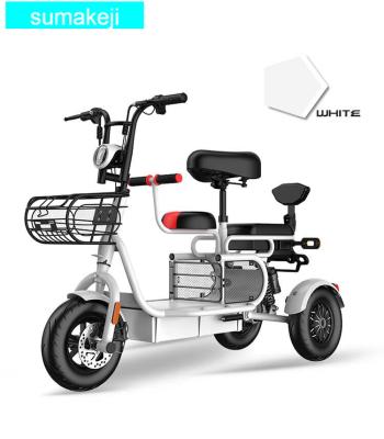 China Carbon Steel 3 Wheel Electric Bicycle 12 Inch Older Tire City Other Electric Bike 8-20ah Lithium Battery Cargo e Bike City Scooter for sale