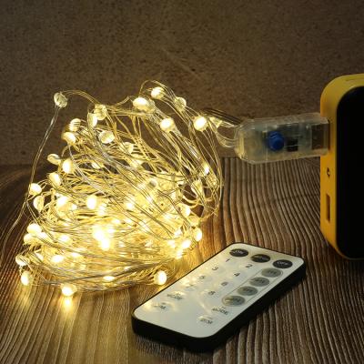 China Outdoor Remote Control Led Fairy Light Party Holiday Decoration Light 8mode Commercial Christmas Garden DIY Use For Indoor for sale