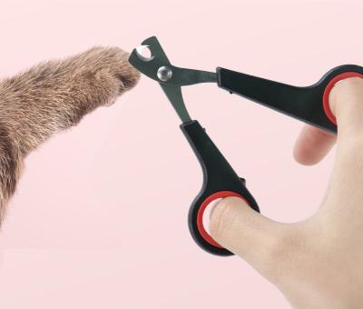 China Pet Nail Trimmer Viable Professional Made Anti-Slip Claw Care Grooming Tool for Dog Cat for sale