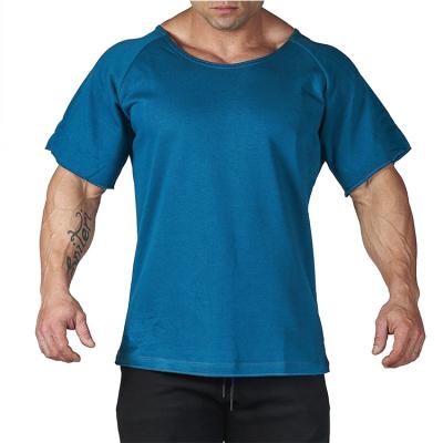 China High Quality Anti-Shrink Cotton Fitness Sports T-shirts Men's Gym T-Shirt for sale