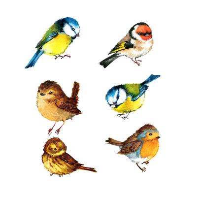 China Waterproof+Eco-friendly Non Stick Shop Car Window Removable Custom Transparent Electrostatic Birds Decorative Static Cling Sticker for sale