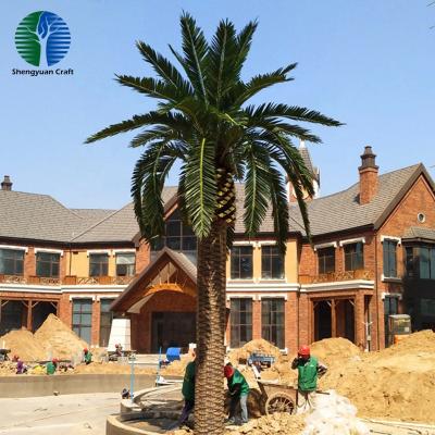 China Villa Waterproof Resort Decoration Artificial Phoenix Date Palm Tree for sale