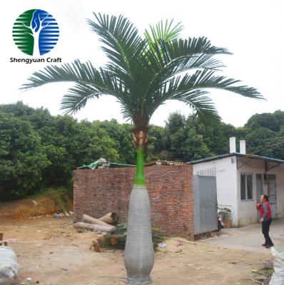 China Artificial Fiberglass Waterproof Palm Bottle Palm Tree for sale