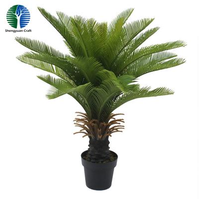 China Artificial Waterproof Bonsai Cycad Tree for sale