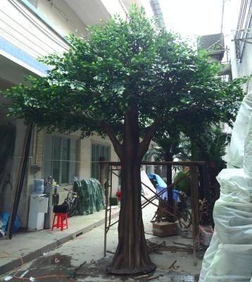 China High Simulation Fiberglass Trunk Detailed Fiberglass Artificial Ficus Tree for sale