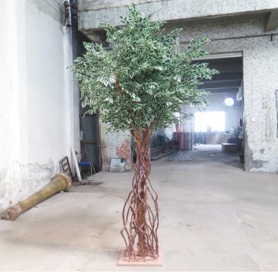 China Fiberglass Rattan Twisted White Leaf Edge Ficus Tree Artificial Tree for sale