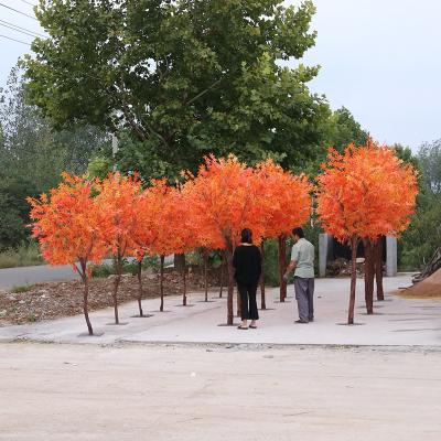 China Height 2..5meter Artificial Maple Tree Waterproof Fiberglass Material for sale