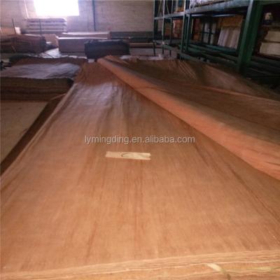 China malaysia plywood elm agathis larch face veneer gurjan plywood for sale