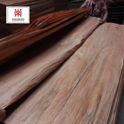 China Canadian plywood C grade maple PA face myanmar veneer for plywood for sale