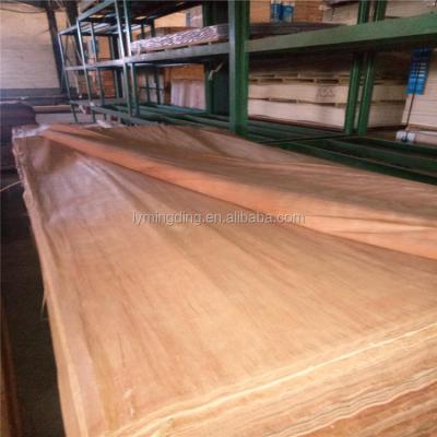 China The plywood cut into slices cut 0.22mm a gurjan veneer reconditioned with red -colored face of category for sale