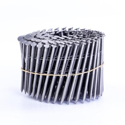 China Common Ring Flat Shank Stainless Steel Nails Galvanized Large Coil Nails Coils for sale