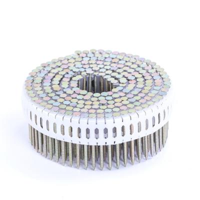 China Flat Sheet Plastic Coil Nails / Plastic Coil Nail for sale