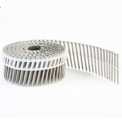 China Flat 15 Degree Hot Dip Galvanized Plastic Sheet Coil Nails for sale