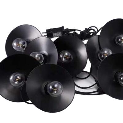 China Quality Price Guaranteed Black Garden Suitable Christmas Garden Led String Lights for sale