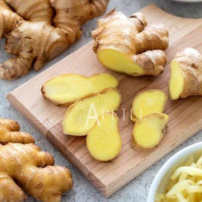 China Fresh By SINOFARM 2020 New China Fresh Ginger Food 1 Kilogram Young Ginger Bulk Carton For Sale Provided Organic for sale