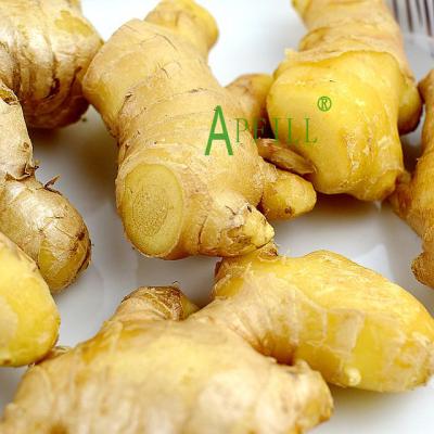 China 2022 Wholesales Fresh Yunnan 10kg Yellow Ginger Packing In One Carton With 20 RF Container Best Quality And Competitive Price for sale